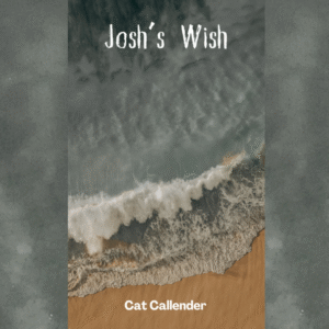 Josh's Wish